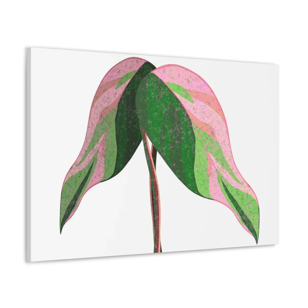 Pink Princess Philodendron Canvas Art Print – Botanical Wall Decor | Matte Finish