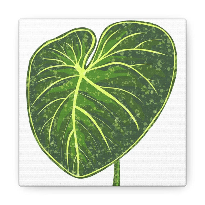 Philodendron Gloriosum Canvas - Stretched Canvas Art Print | Matte Indoor Wall Art - Laura Christine Photography & Design