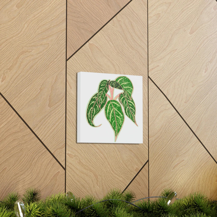 Aglaonema Plant Canvas | Sparkling Plant Artwork - Colorfast Canvas Art Print Decor