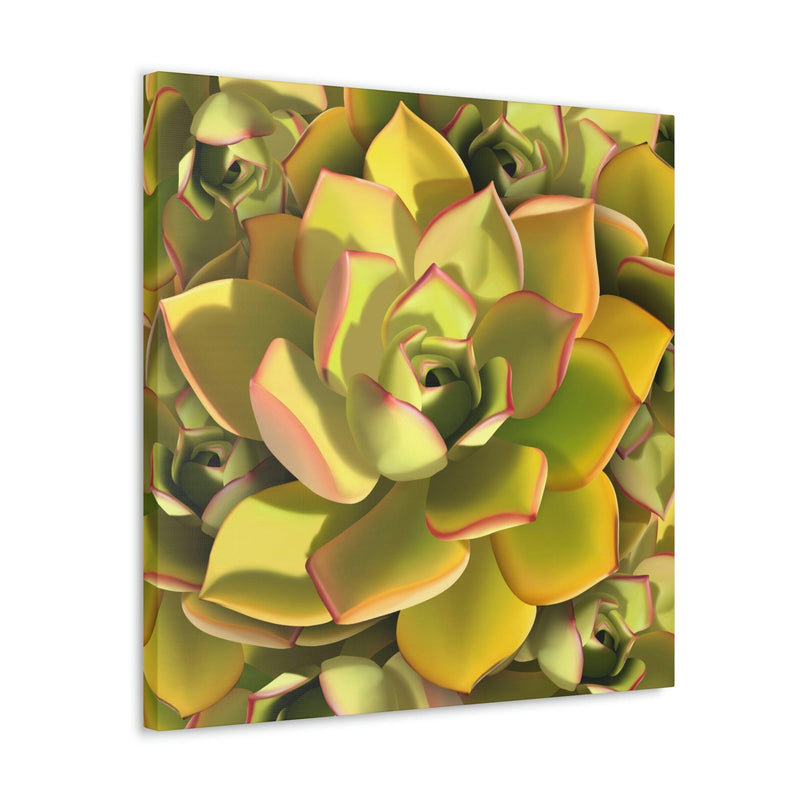 Noble Aeonium Succulent Pattern Canvas, Canvas, Printify, Art & Wall Decor, Canvas, Hanging Hardware, Home & Living, Indoor, Laura Christine Photography & Design, laurachristinedesign.com