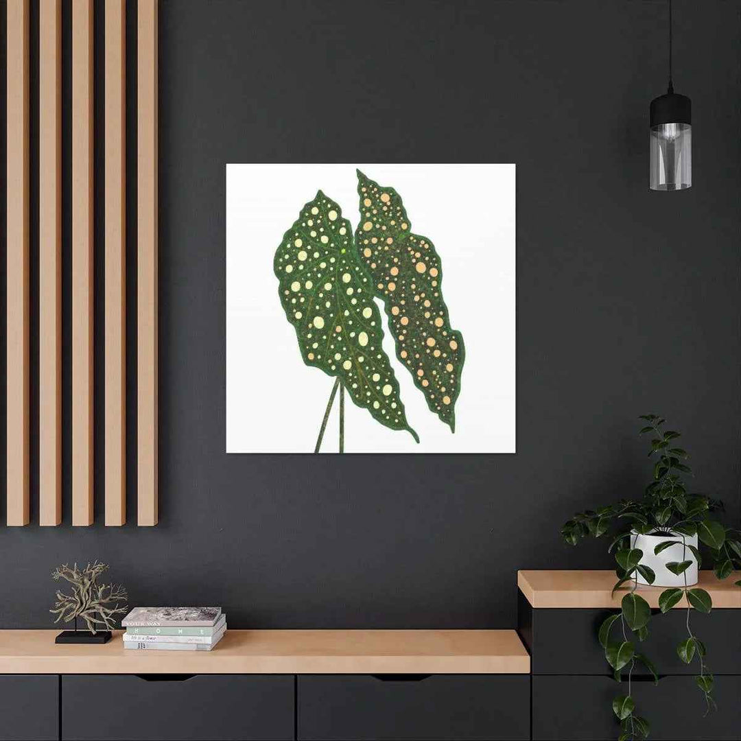 Begonia Maculata Canvas | Premium Canvas Art Print - Matte Finish, Durable Wall Decor
