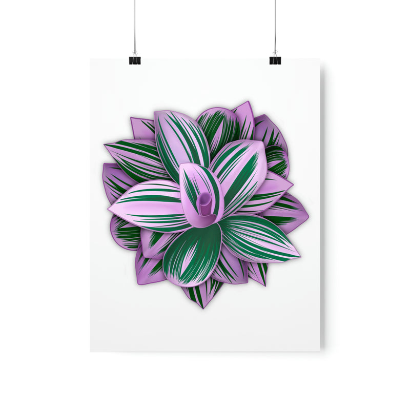 Tradescantia Nanouk Print