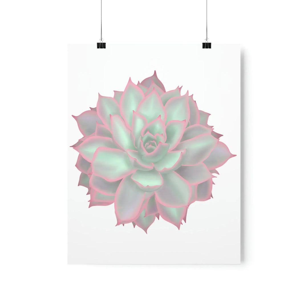 Echeveria Violet Queen Print – Succulent Wall Art | Botanical Poster On Museum Grade Paper