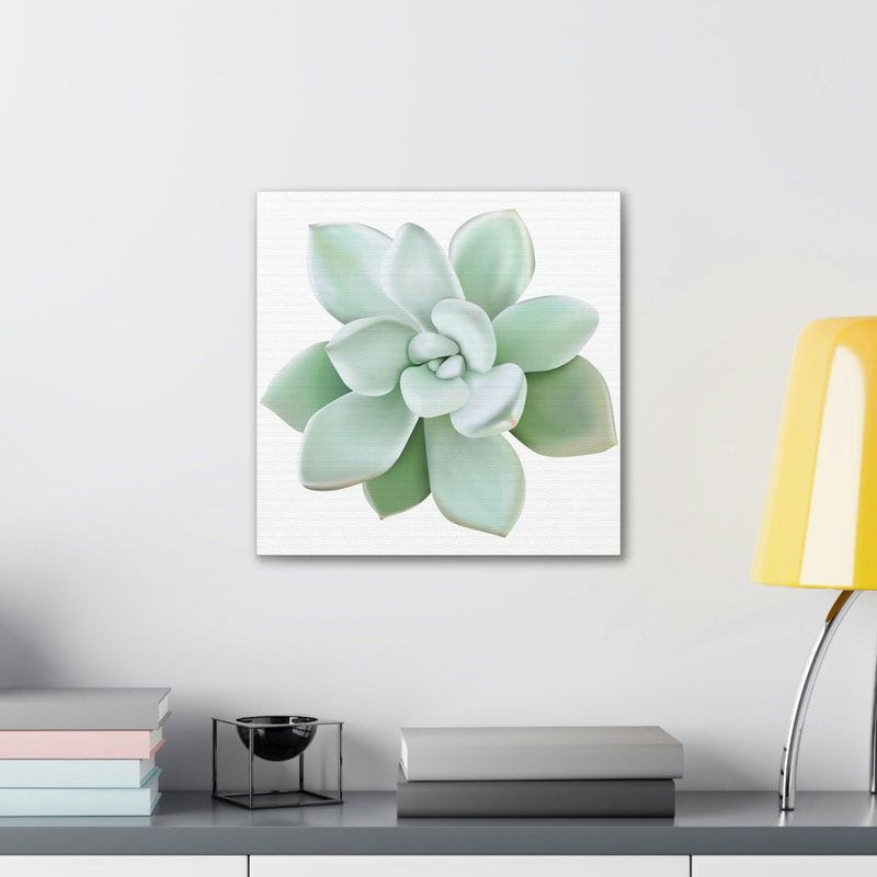 Pachyveria Haagei Succulent Canvas, Canvas, Printify, Art & Wall Decor, Canvas, Hanging Hardware, Home & Living, Indoor, Laura Christine Photography & Design, laurachristinedesign.com