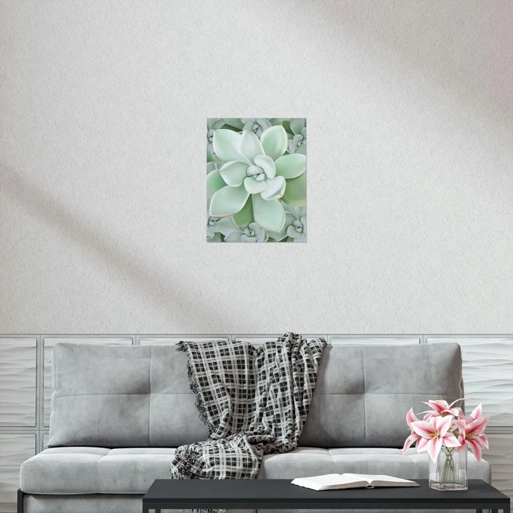 Pachyveria Haagei Succulent Pattern Print, Poster, Printify, Back to School, Home & Living, Indoor, Matte, Paper, Posters, Valentine's Day promotion, Laura Christine Photography & Design, laurachristinedesign.com
