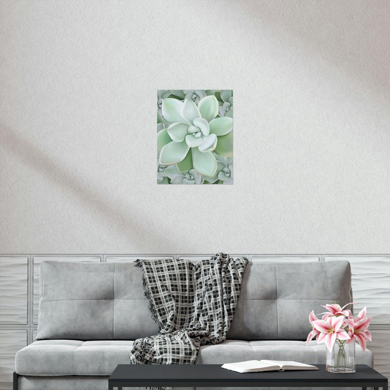 Pachyveria Haagei Succulent Pattern Print, Poster, Printify, Back to School, Home & Living, Indoor, Matte, Paper, Posters, Valentine&