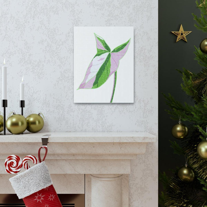 Syngonium Tricolor Canvas | Botanical Canvas Art Print With Matte Finish - Laura Christine Photography & Design