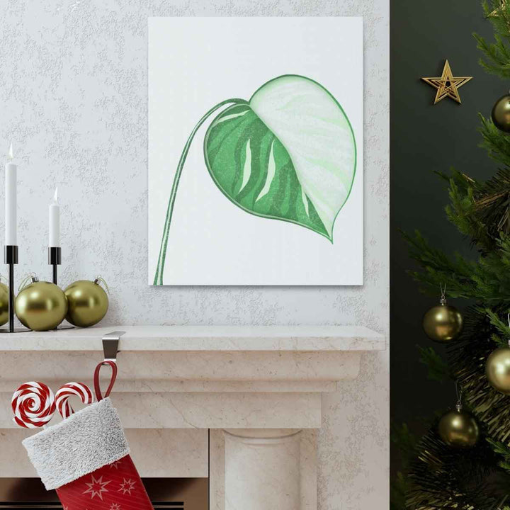 Monstera Albo Canvas | Large Tropical Leaf Artwork - Matte Finish Canvas Art Print