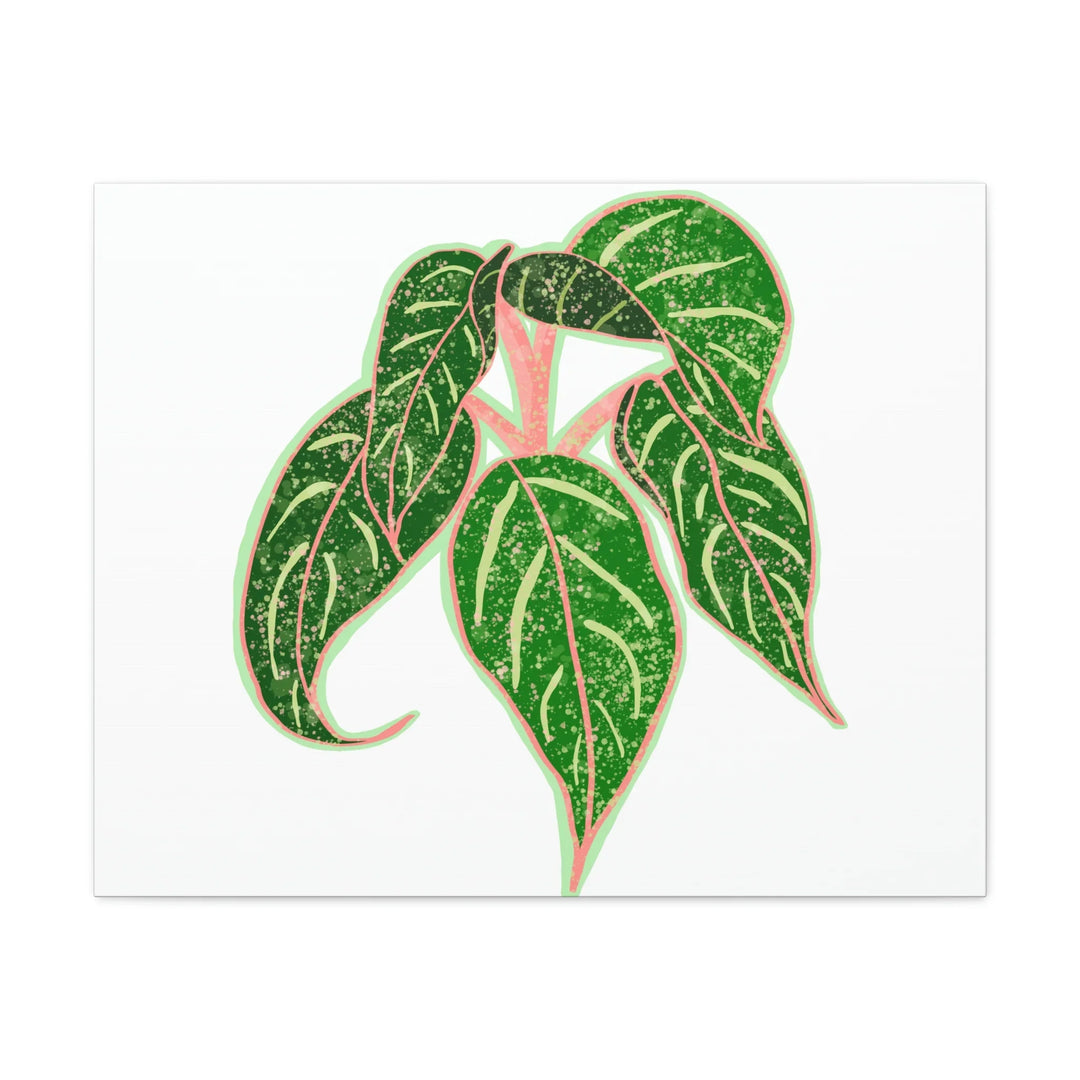 Aglaonema Plant Canvas | Sparkling Plant Artwork - Colorfast Canvas Art Print Decor