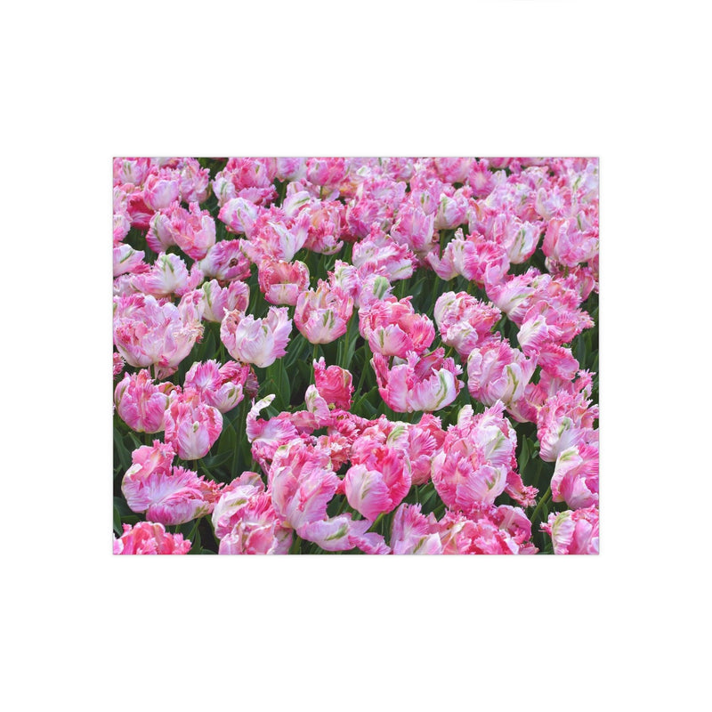 Pink apricot parrot tulips - Photo Poster, Poster, Printify, Art & Wall Decor, Home & Living, Paper, Poster, Posters, Laura Christine Photography & Design, laurachristinedesign.com