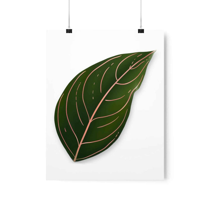 POS Aglaonema Rotundum Print