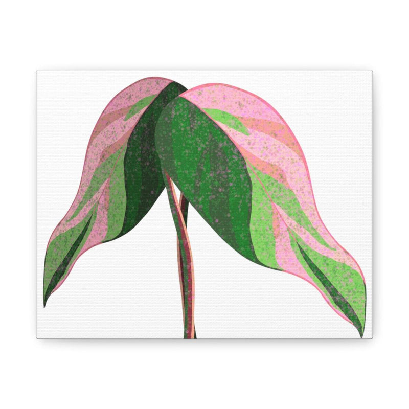 Pink Princess Philodendron Canvas, Canvas, Laura Christine Photography & Design, Art & Wall Decor, Canvas, Hanging Hardware, Home & Living, Indoor, Laura Christine Photography & Design, 