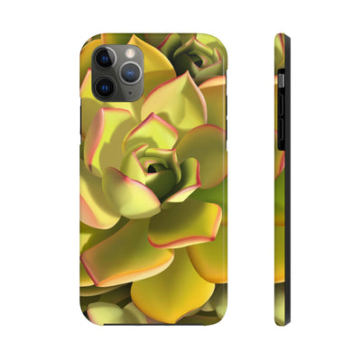 Noble Aeonium Succulent Phone Case, Phone Case, Printify, Accessories, Glossy, iPhone Cases, Matte, Phone accessory, Phone Cases, Samsung Cases, Laura Christine Photography & Design, laurachristinedesign.com