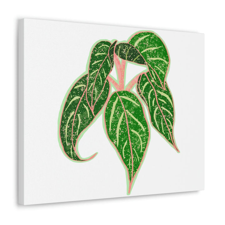 Aglaonema Plant Canvas | Sparkling Plant Artwork - Colorfast Canvas Art Print Decor