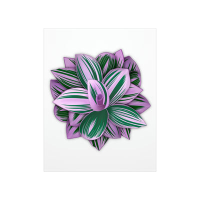 Tradescantia Nanouk Print