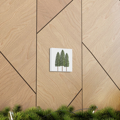 Ponderosa Pine Canvas