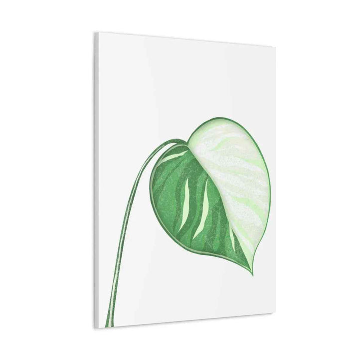 Monstera Albo Canvas | Large Tropical Leaf Artwork - Matte Finish Canvas Art Print