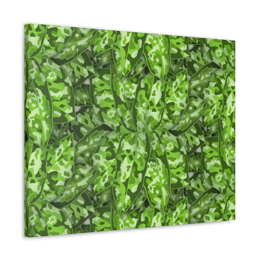Aglaonema Pictum Canvas - Rare Camouflage Leaf Print Canvas Art Print