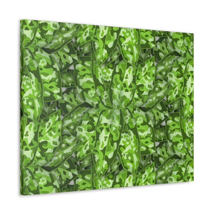 Aglaonema Pictum Canvas - Rare Camouflage Leaf Print Canvas Art Print