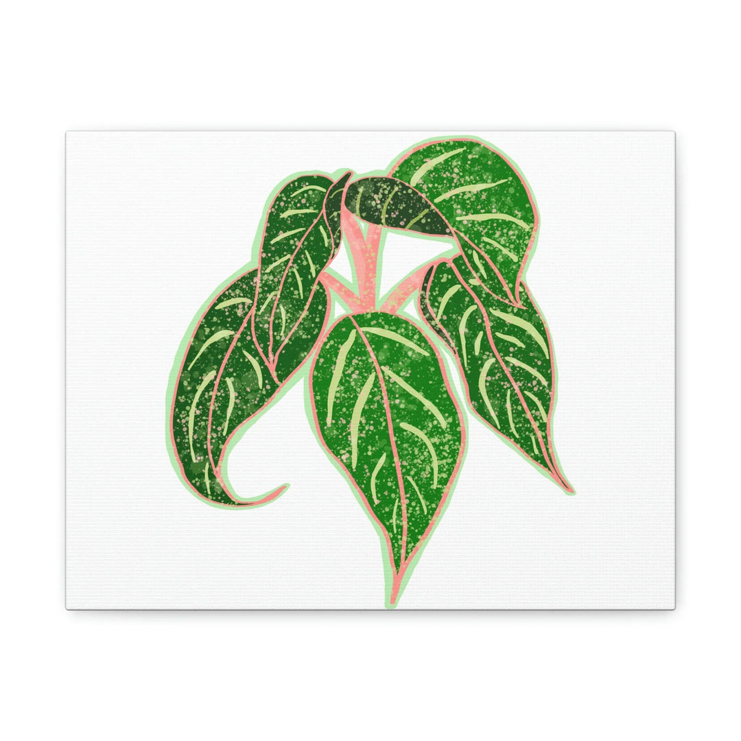 Aglaonema Plant Canvas | Sparkling Plant Artwork - Colorfast Canvas Art Print Decor
