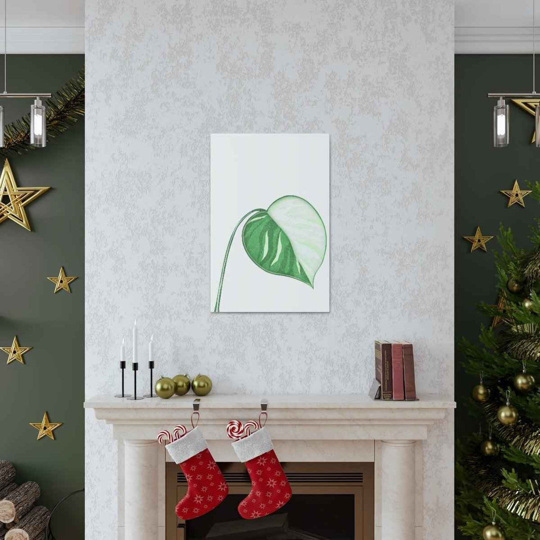 Monstera Albo Canvas | Large Tropical Leaf Artwork - Matte Finish Canvas Art Print