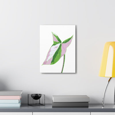 Syngonium Tricolor Canvas, Canvas, Laura Christine Photography & Design, Art & Wall Decor, Canvas, Hanging Hardware, Home & Living, Indoor, Laura Christine Photography & Design, 