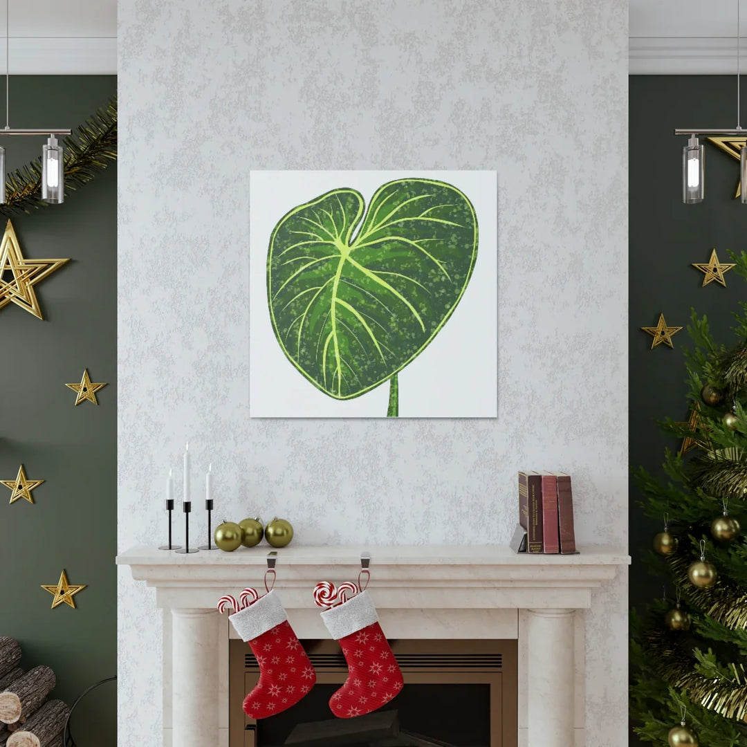 Philodendron Gloriosum Canvas - Stretched Canvas Art Print | Matte Indoor Wall Art - Laura Christine Photography & Design