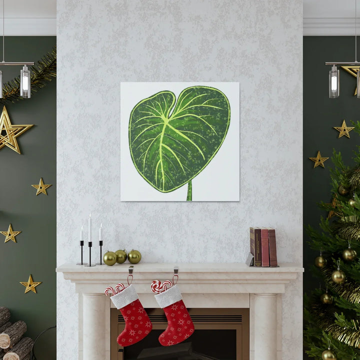 Philodendron Gloriosum Canvas - Stretched Canvas Art Print | Matte Indoor Wall Art - Laura Christine Photography & Design