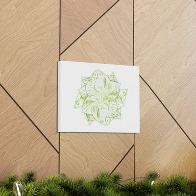 Snow Queen Pothos Canvas