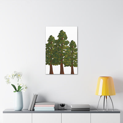 Coastal Redwoods Canvas