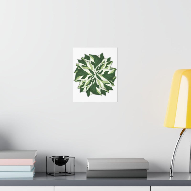 Calathea White Fusion Print, Poster, Laura Christine Photography & Design, Back to School, Bottle, Calathea, Canvas Bag, Coffee, Drinkware, Home & Living, Indoor, Matte, Paper, Posters, Prayer Plant, Reusable, Shopping Bag, Tea, Tote Bag, Travel, Tumbler, Valentine&