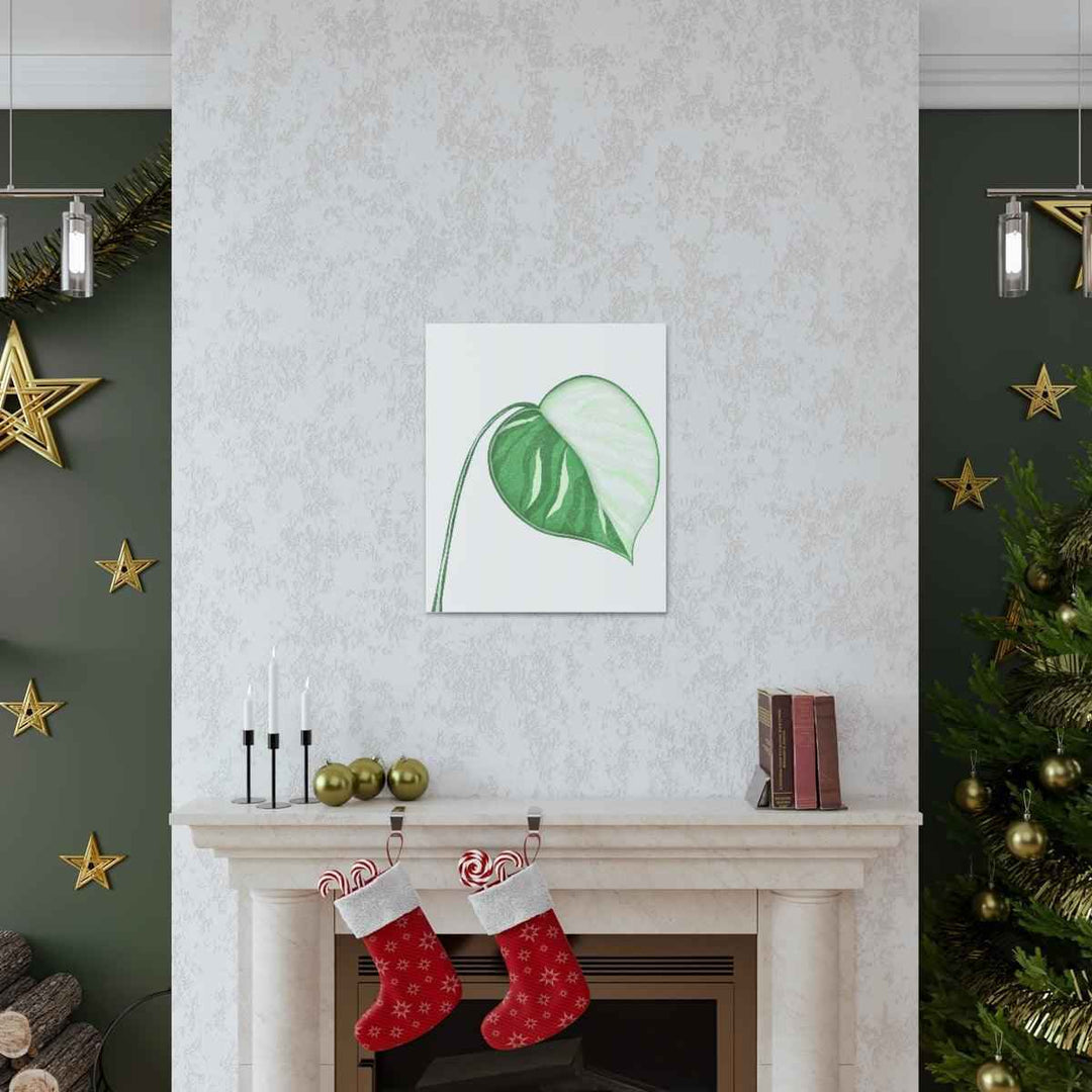 Monstera Albo Canvas | Large Tropical Leaf Artwork - Matte Finish Canvas Art Print