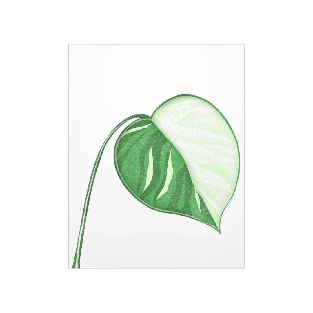 Monstera Albo Print – Large Tropical Leaf Poster | Museum Grade Paper Artwork Unframed