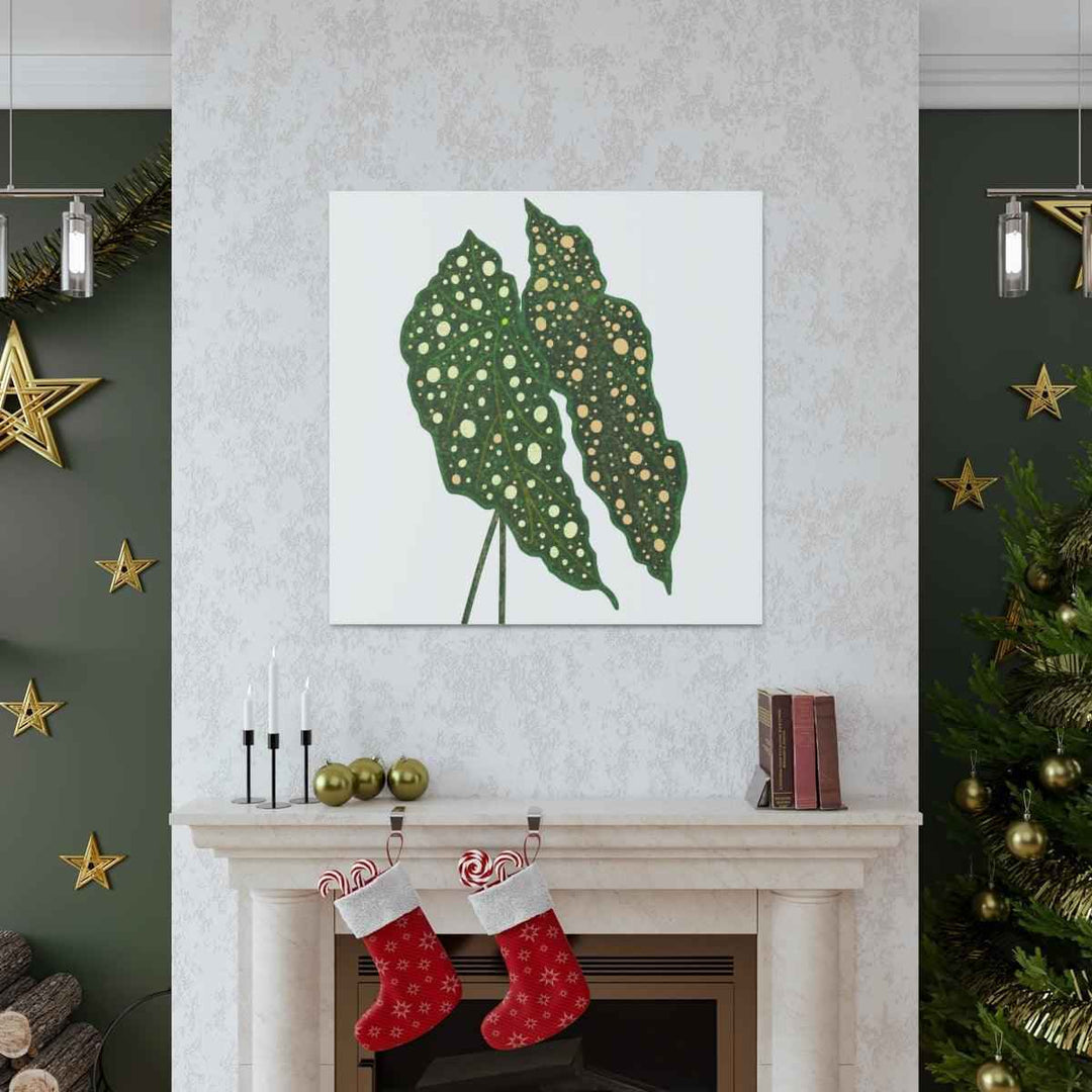 Begonia Maculata Canvas | Premium Canvas Art Print - Matte Finish, Durable Wall Decor