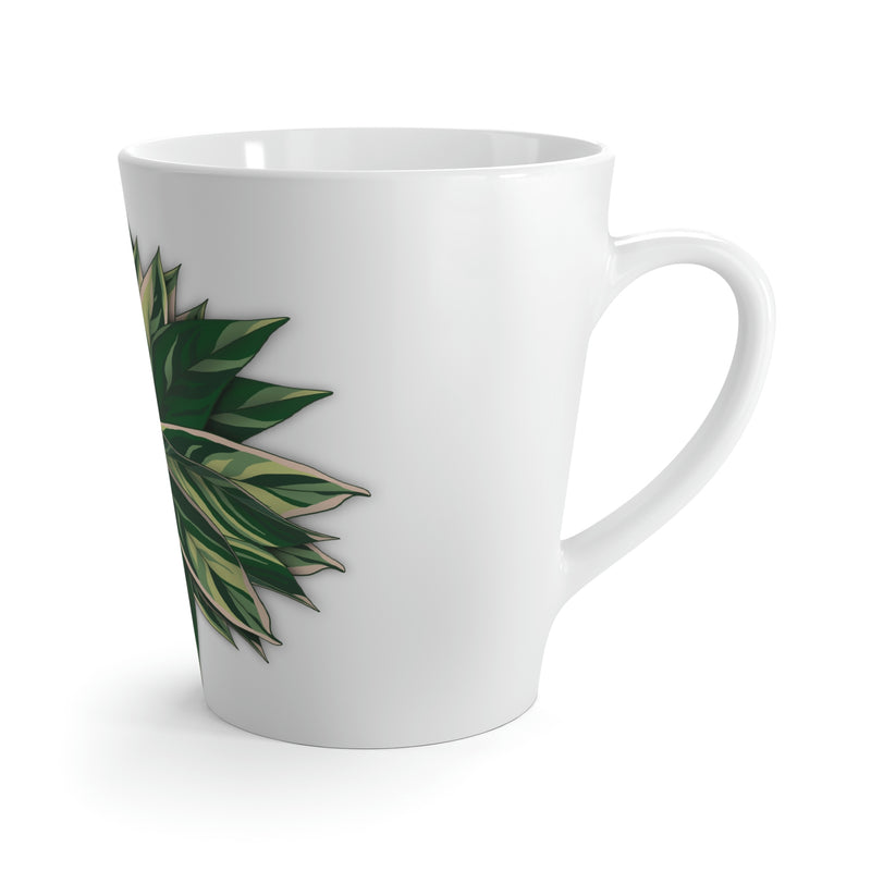 Stromanthe Triostar Mug