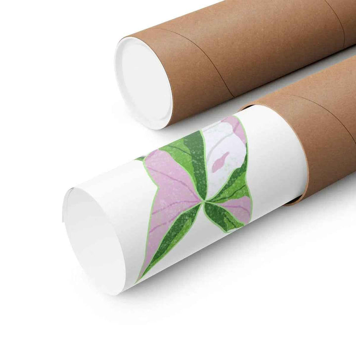 Syngonium Tricolor Print – Botanical Wall Art | Variegated Leaf Poster Unframed