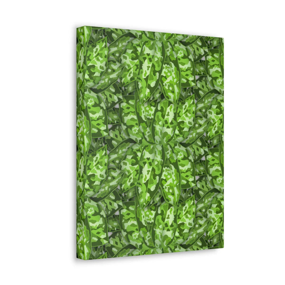 Aglaonema Pictum Canvas - Rare Camouflage Leaf Print Canvas Art Print