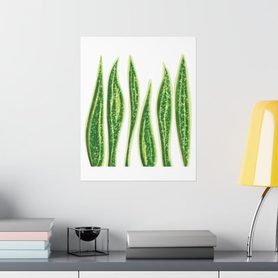 Snake Plant Print, Poster, Laura Christine Photography & Design, Back to School, Home & Living, Indoor, Matte, Paper, Posters, Valentine's Day promotion, Laura Christine Photography & Design, laurachristinedesign.com