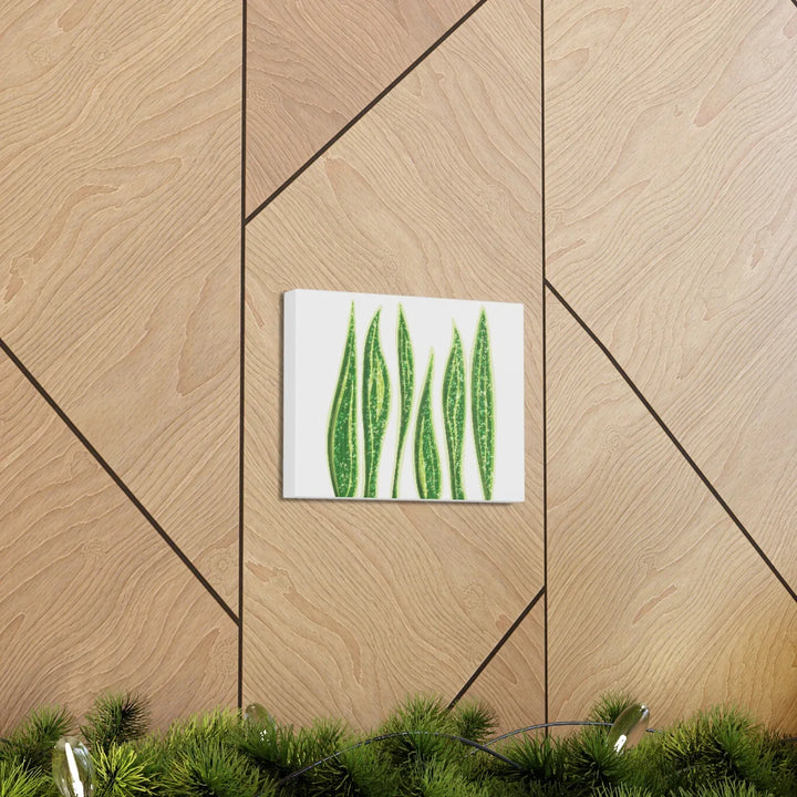 Snake Plant Canvas | Botanical Canvas Decor - Matte Finish Artwork for Living Room - Laura Christine Photography & Design