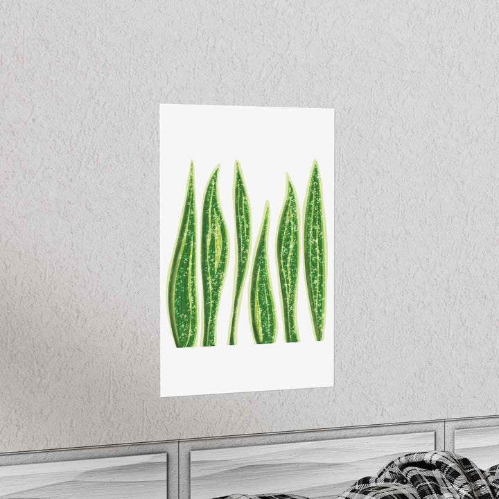 Snake Plant Print – Large Botanical Wall Art Poster | Matte Finish | Unframed