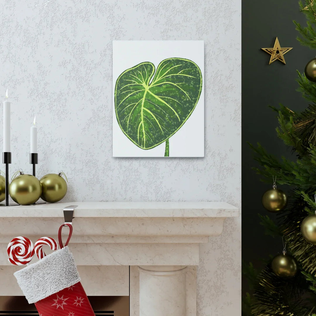 Philodendron Gloriosum Canvas - Stretched Canvas Art Print | Matte Indoor Wall Art - Laura Christine Photography & Design