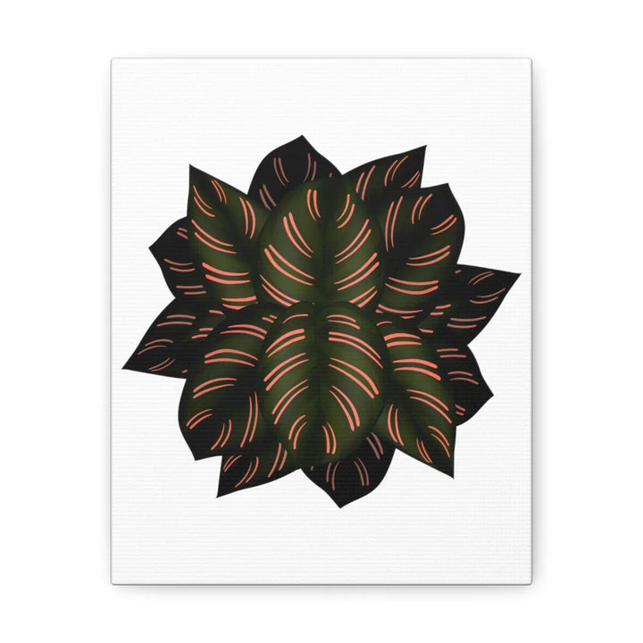 Calathea Pinstripe Canvas – Botanical Canvas Art Print | Matte Finish Wall Decor