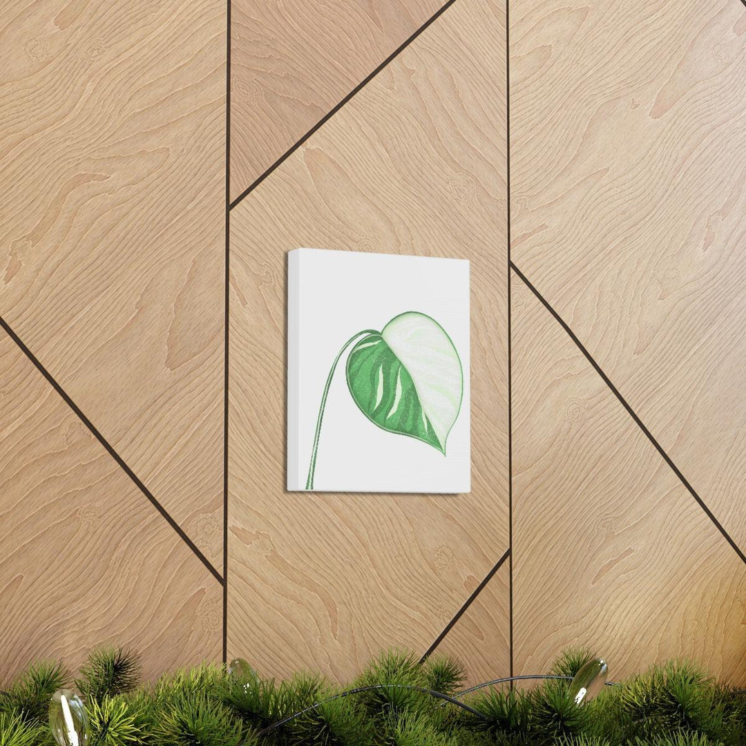Monstera Albo Canvas | Large Tropical Leaf Artwork - Matte Finish Canvas Art Print - Laura Christine Photography & Design