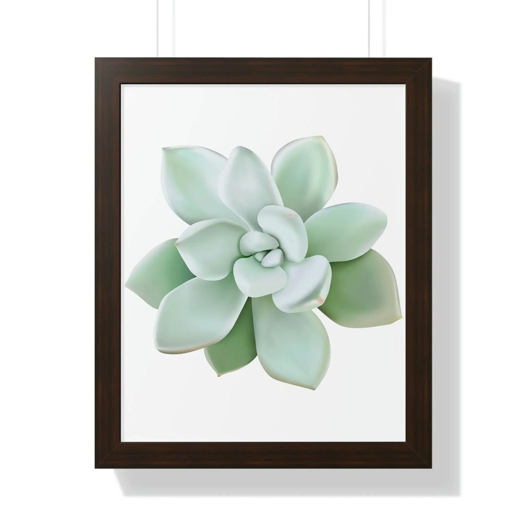 Pachyveria Haagei Succulent Framed Print, Poster, Printify, Framed, Home & Living, Indoor, Paper, Posters, Laura Christine Photography & Design, laurachristinedesign.com