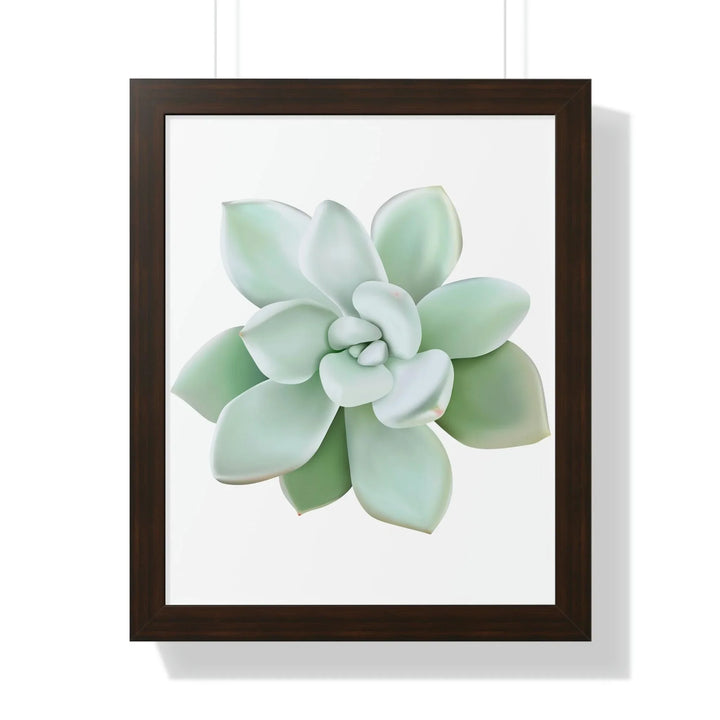Pachyveria Haagei Succulent Framed Print, Poster, Printify, Framed, Home & Living, Indoor, Paper, Posters, Laura Christine Photography & Design, laurachristinedesign.com