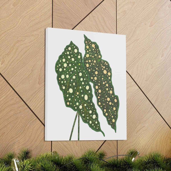 Begonia Maculata Canvas | Premium Canvas Art Print - Matte Finish, Durable Wall Decor