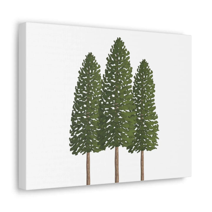 Ponderosa Pine Canvas - Large Stretched Cotton Canvas Art Print With Matte Finish