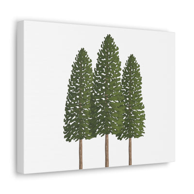 Ponderosa Pine Canvas