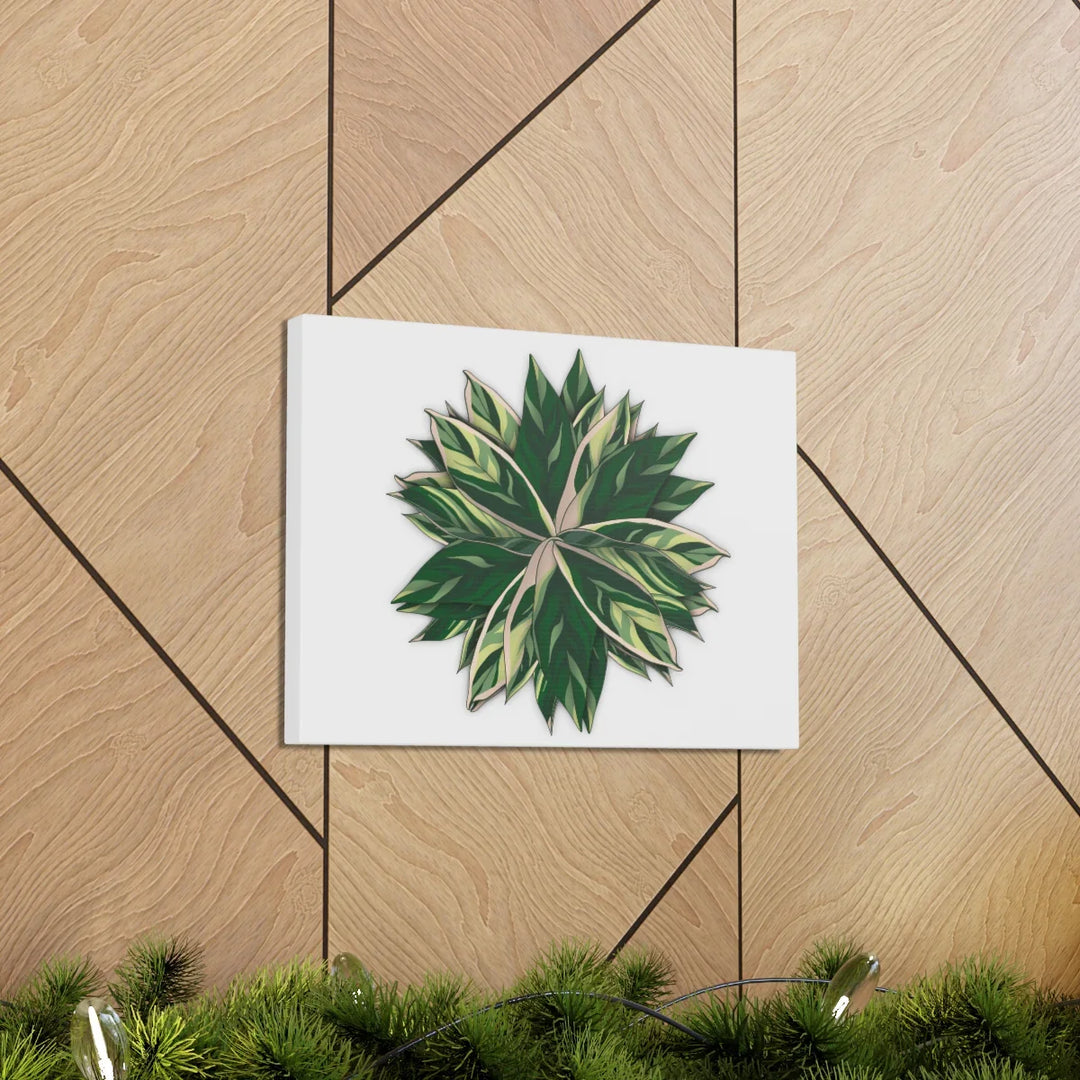 Stromanthe Triostar Canvas - Pastel Stripe Canvas Art Print With Vivid Color Artwork - Laura Christine Photography & Design