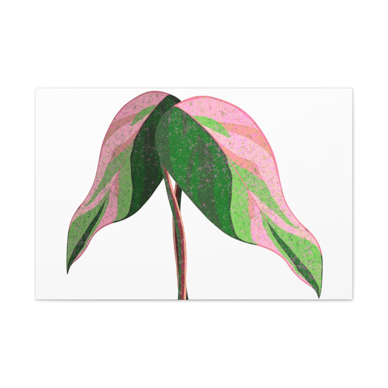 Pink Princess Philodendron Canvas